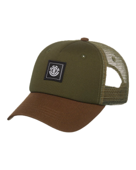ICON MESH